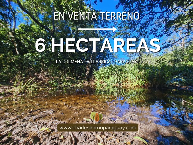 Terreno de 6 hectáreas en venta – La Colmena, Paraguay · ₲ 620.000.000 | Tava